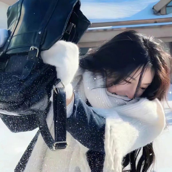 冷宫女刺客
